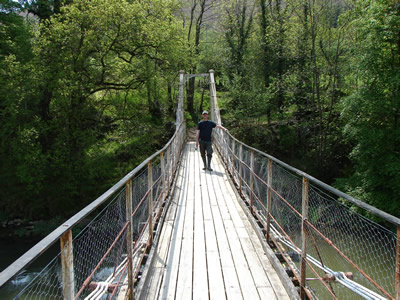 Suspension Bridge